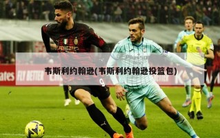 韦斯利约翰逊(韦斯利约翰逊投篮包)