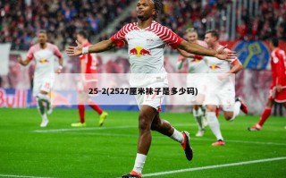 25-2(2527厘米袜子是多少码)