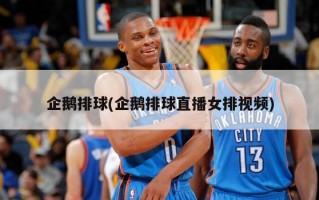 企鹅排球(企鹅排球直播女排视频)