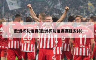 欧洲杯友谊赛(欧洲杯友谊赛赛程安排)
