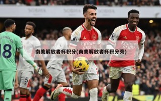 南美解放者杯积分(南美解放者杯积分旁)