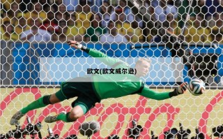 欧文(欧文威尔逊)