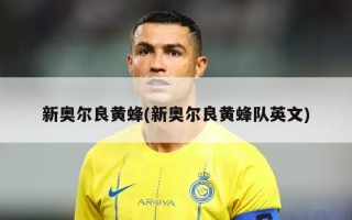 新奥尔良黄蜂(新奥尔良黄蜂队英文)