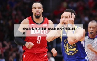 nba有多少只球队(nba有多少只球队组成)