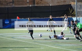 中国女子羽毛球(中国女子羽毛球双打名单)