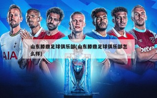 山东滕鼎足球俱乐部(山东滕鼎足球俱乐部怎么样)