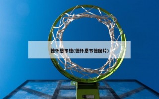 德怀恩韦德(德怀恩韦德图片)