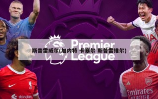 斯普雷威尔(加内特 卡塞尔 斯普雷维尔)
