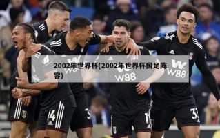 2002年世界杯(2002年世界杯国足阵容)