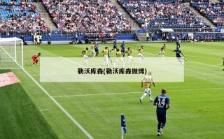 勒沃库森(勒沃库森微博)