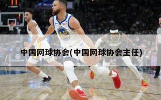 中国网球协会(中国网球协会主任)
