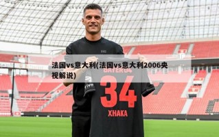 法国vs意大利(法国vs意大利2006央视解说)
