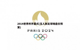 2014世界杯开幕式(五人制足球场造价预算)
