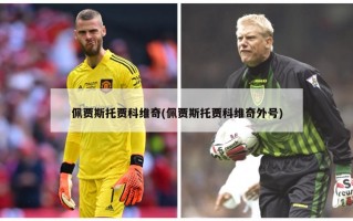 佩贾斯托贾科维奇(佩贾斯托贾科维奇外号)