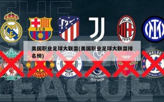 美国职业足球大联盟(美国职业足球大联盟排名榜)