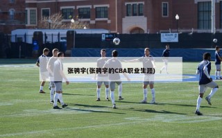 张骋宇(张骋宇的CBA职业生涯)