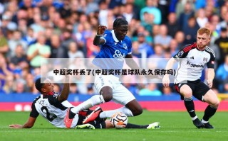 中超奖杯丢了(中超奖杯是球队永久保存吗)