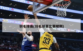 羽毛球赛(羽毛球赛比赛规则)