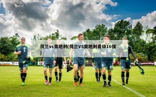荷兰vs奥地利(荷兰VS奥地利晋级16强)