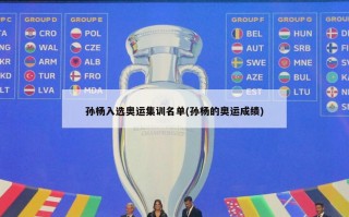 孙杨入选奥运集训名单(孙杨的奥运成绩)