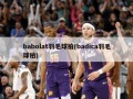 babolat羽毛球拍(badica羽毛球拍)