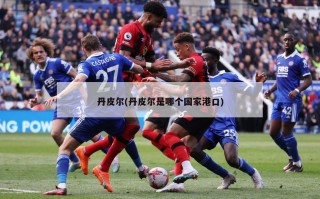 丹皮尔(丹皮尔是哪个国家港口)