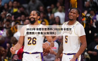 2022年卡塔尔世界杯(2022年卡塔尔世界杯一共有32支球队)