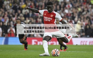 nba夏季联赛是什么(nba夏季联赛是什么意思中文百科)