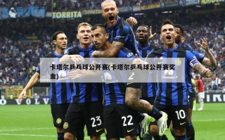 卡塔尔乒乓球公开赛(卡塔尔乒乓球公开赛奖金)
