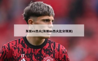 灰熊vs热火(灰熊vs热火比分预测)
