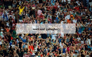 noel(noel gallagher)
