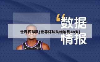 世界杯球队(世界杯球队增加到48支)