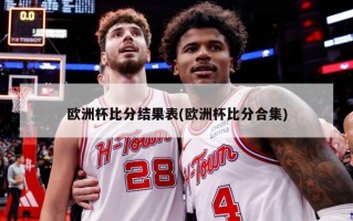 欧洲杯比分结果表(欧洲杯比分合集)