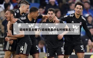 诺维斯基去哪了(诺维斯基什么时候复出1)