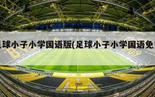 足球小子小学国语版(足球小子小学国语免费)