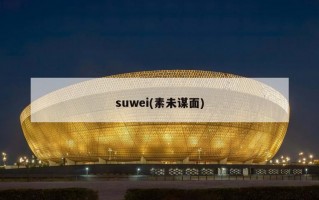 suwei(素未谋面)