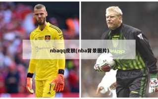 nbaqq皮肤(nba背景图片)