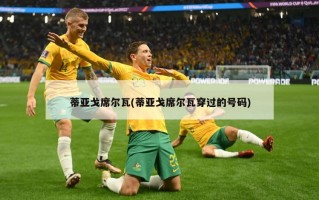 蒂亚戈席尔瓦(蒂亚戈席尔瓦穿过的号码)