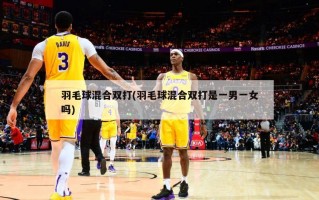 羽毛球混合双打(羽毛球混合双打是一男一女吗)