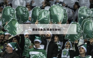 费舍尔身高(费舍尔身材)