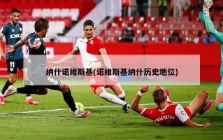 纳什诺维斯基(诺维斯基纳什历史地位)