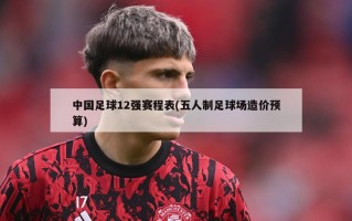 中国足球12强赛程表(五人制足球场造价预算)