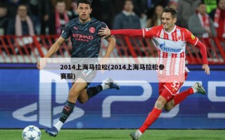 2014上海马拉松(2014上海马拉松参赛服)