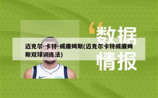 迈克尔-卡特-威廉姆斯(迈克尔卡特威廉姆斯双球训练法)