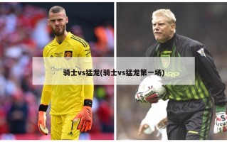 骑士vs猛龙(骑士vs猛龙第一场)