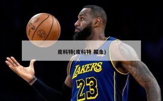皮科特(皮科特 掘金)