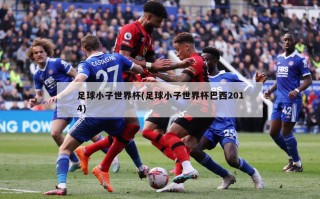 足球小子世界杯(足球小子世界杯巴西2014)