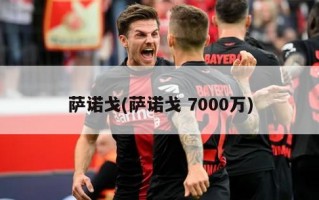 萨诺戈(萨诺戈 7000万)